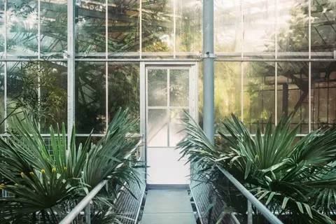 Glass conservatory with lush plants, a frosted door, and railings.