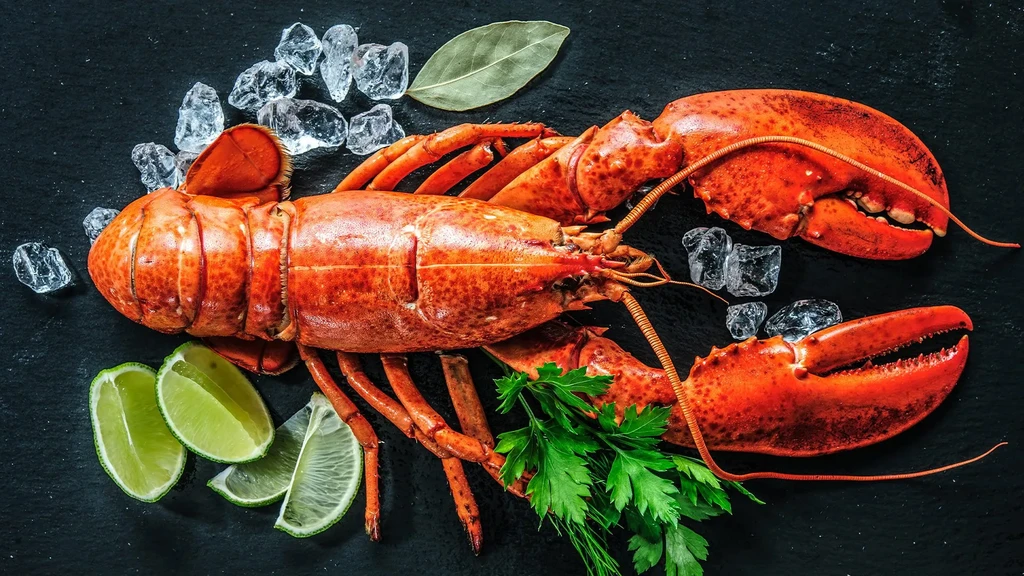 Cooked red lobster, ice, lime, and herbs on a dark surface.