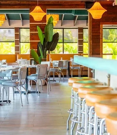 Bright restaurant interior with teal bar, dining area, and plant.
