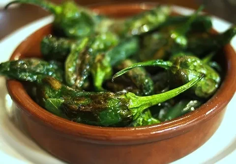 Terracotta bowl of blistered green peppers with sea salt.