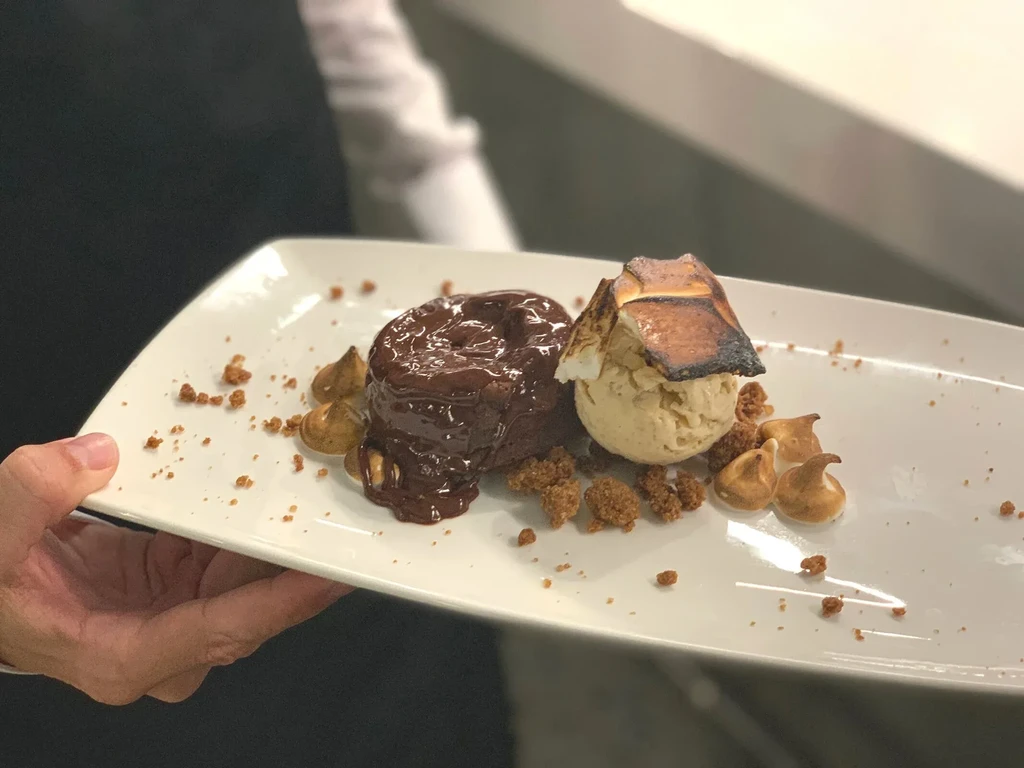 Chocolate cake, ice cream, toasted marshmallow, meringue on white plate.