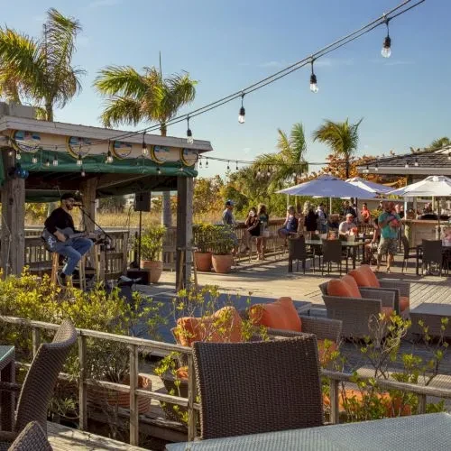 Outdoor restaurant with live music, palm trees, umbrellas, and diners.