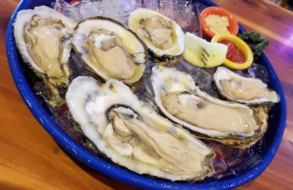Blue platter of shucked oysters on ice with horseradish, sauce, and lime.