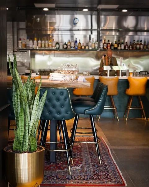 Stylish bar interior with plants, green stools, and liquor display.