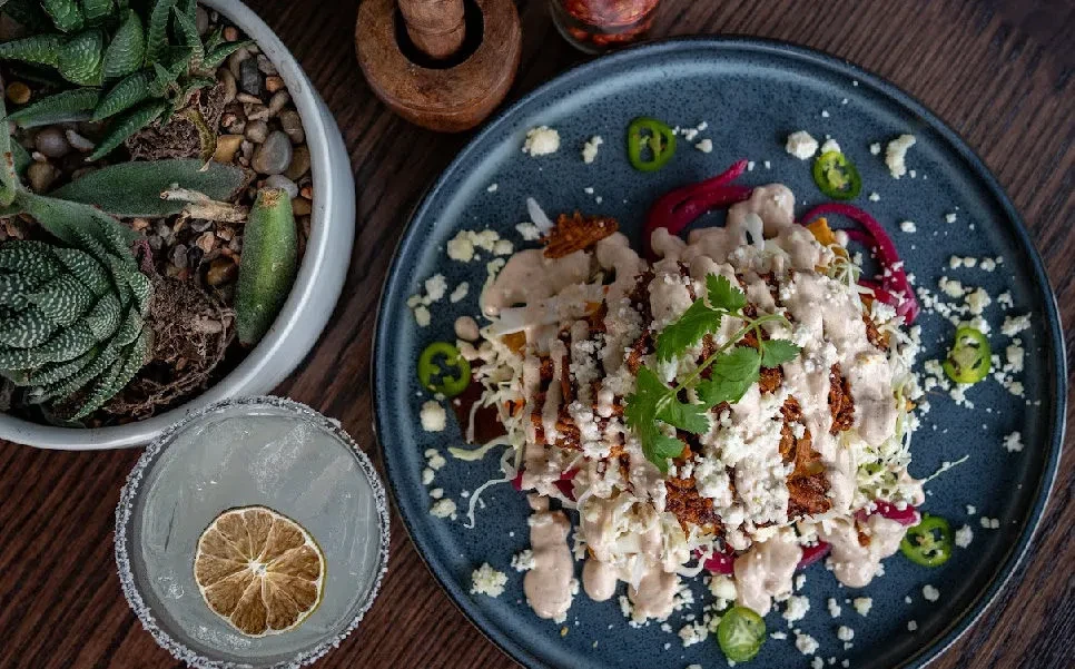Overhead view: colorful meat dish, margarita, and succulents on a wooden table.
