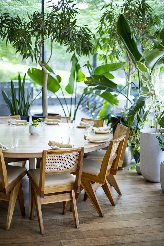 Modern restaurant interior with a wooden table, chairs, and abundant greenery.