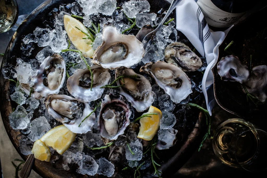 Fresh shucked oysters on ice with lemon wedges and wine.