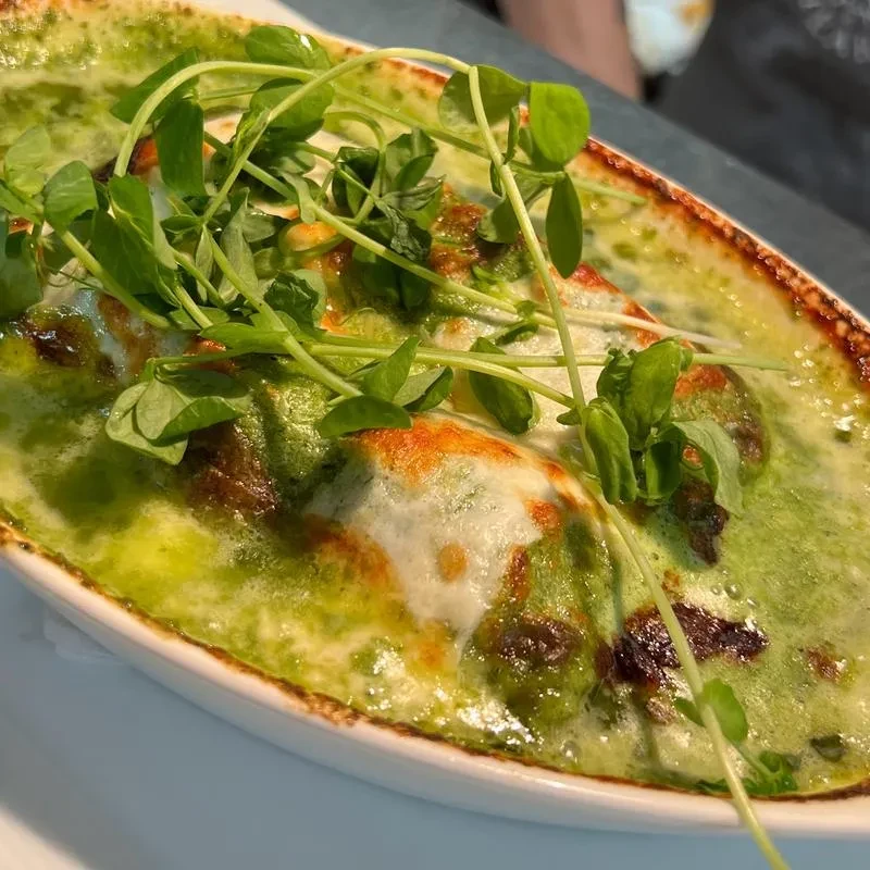 Close-up of baked dish with green sauce, melted golden cheese, sprouts.