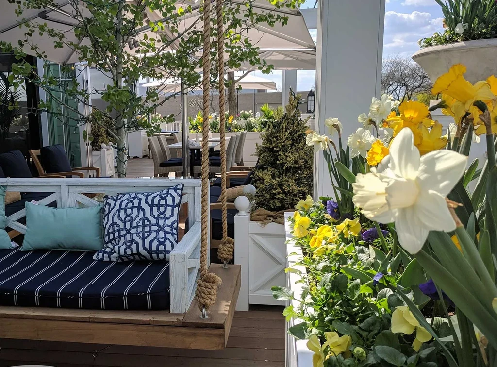 Vibrant outdoor patio with a swing, daffodils, and shaded dining tables.