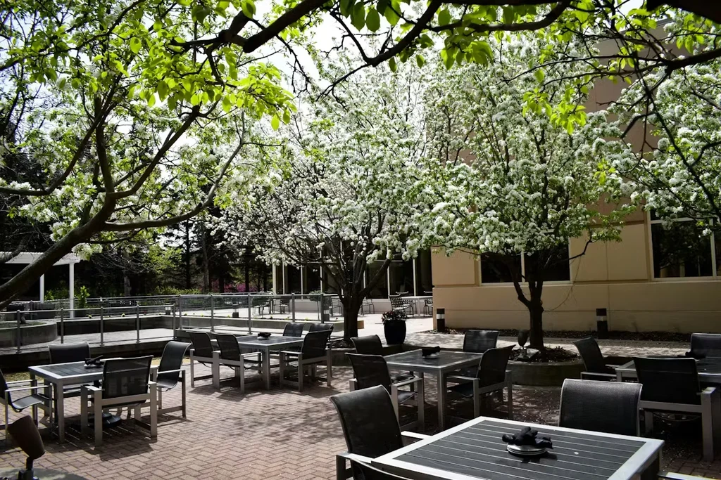 Outdoor dining patio with brick pavers, white flowering trees, and modern building.