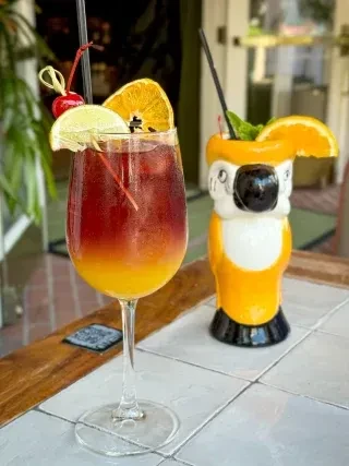 Two garnished drinks: a gradient cocktail and a bird tiki mug.