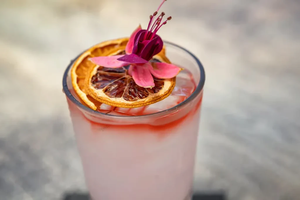 Top-down pink cocktail with dried citrus slices and a fuchsia flower.