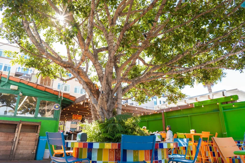 Sunny outdoor patio with a starburst tree and colorful tiled bar.