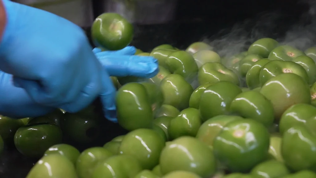 Blue-gloved hand sorts steaming green tomatillos piled for cooking.