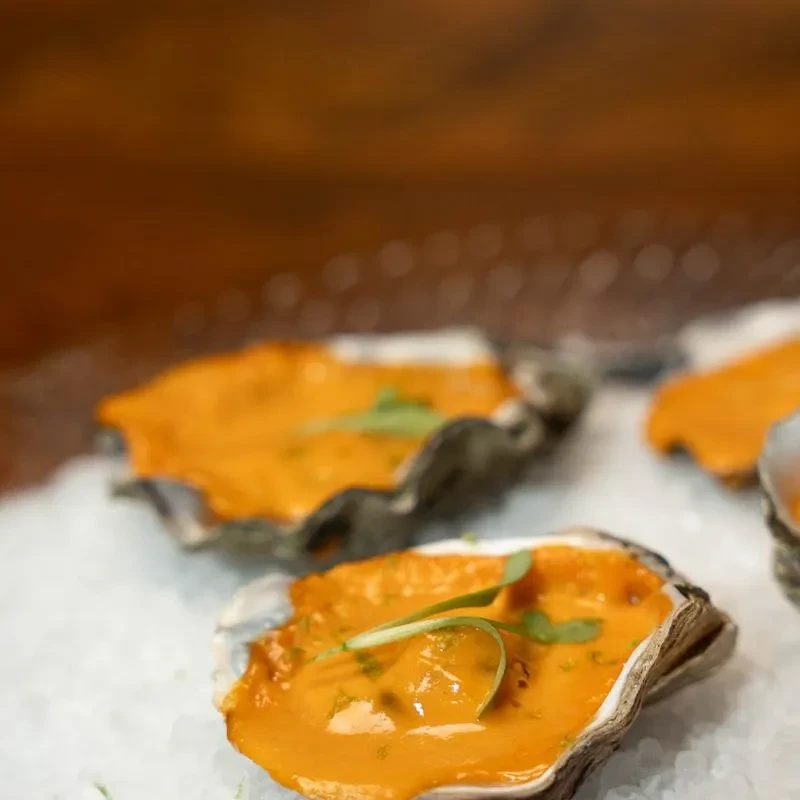 Close-up of oysters on ice with orange sauce and green herbs.