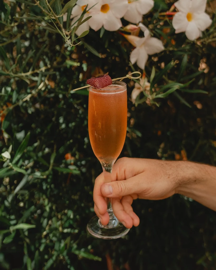 Person's hand holds a garnished sparkling drink flute in a garden.