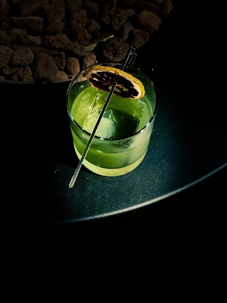 Green cocktail with ice and dried citrus slice on dark surface.