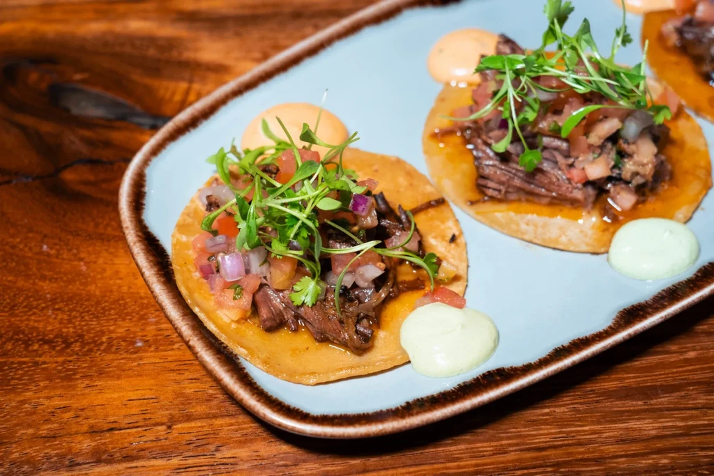 Two gourmet tacos filled with shredded meat, salsa, microgreens, and sauces.