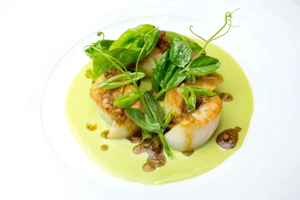 Seared scallops with light green sauce, dark relish, and fresh garnish.