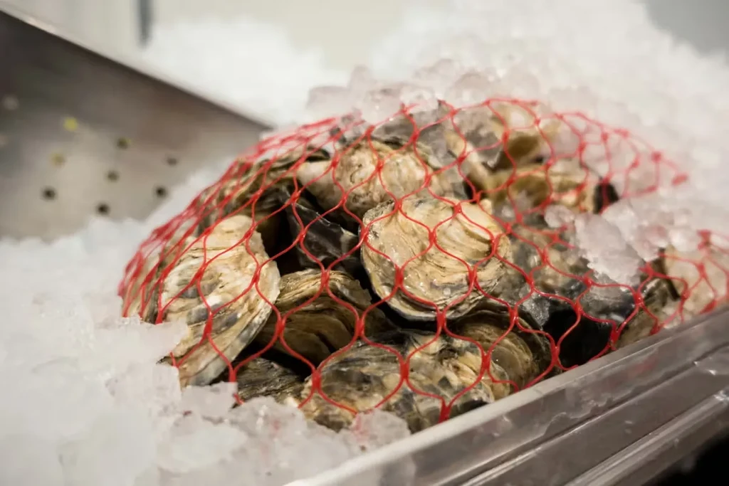 Red mesh bag of fresh oysters on crushed ice.