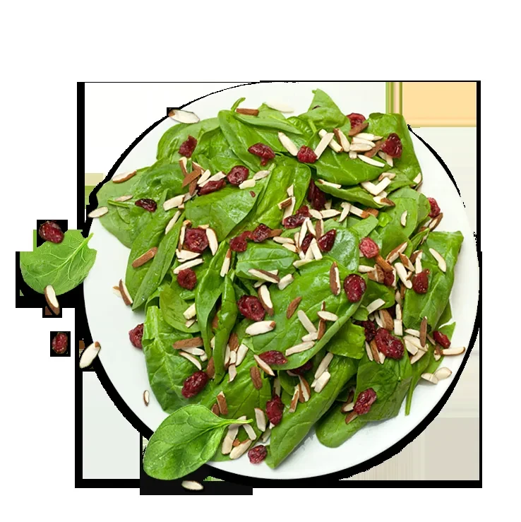 Spinach salad with dried cranberries and sliced almonds on a plate.