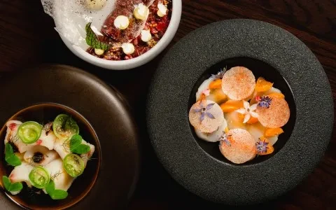 Three artistically plated fine-dining dishes, seen from above.