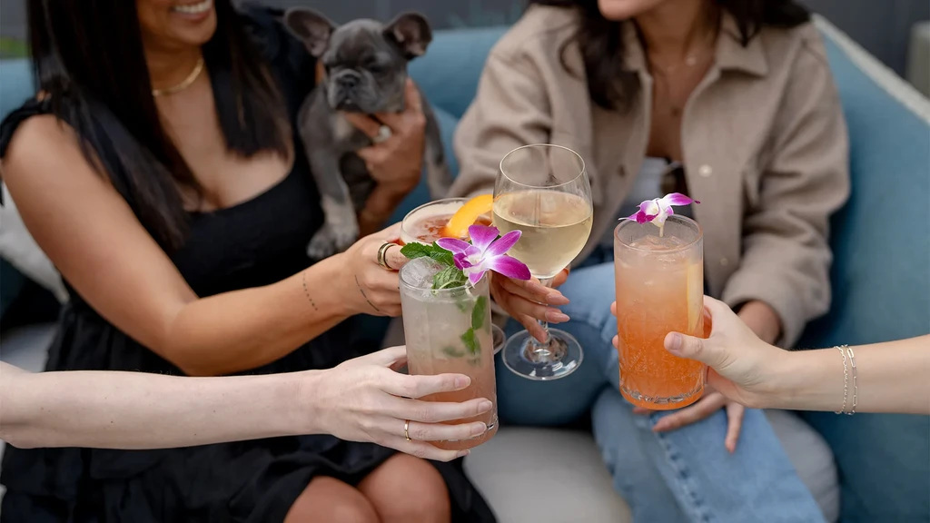 Four hands toasting cocktails and wine, a French bulldog puppy in background.
