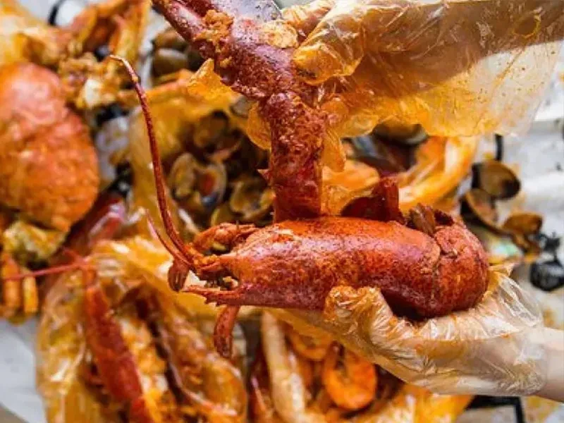 Gloved hands hold a cooked, reddish-orange lobster from a seafood boil.