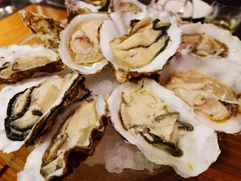 A platter of 8-10 shucked oysters on crushed ice.