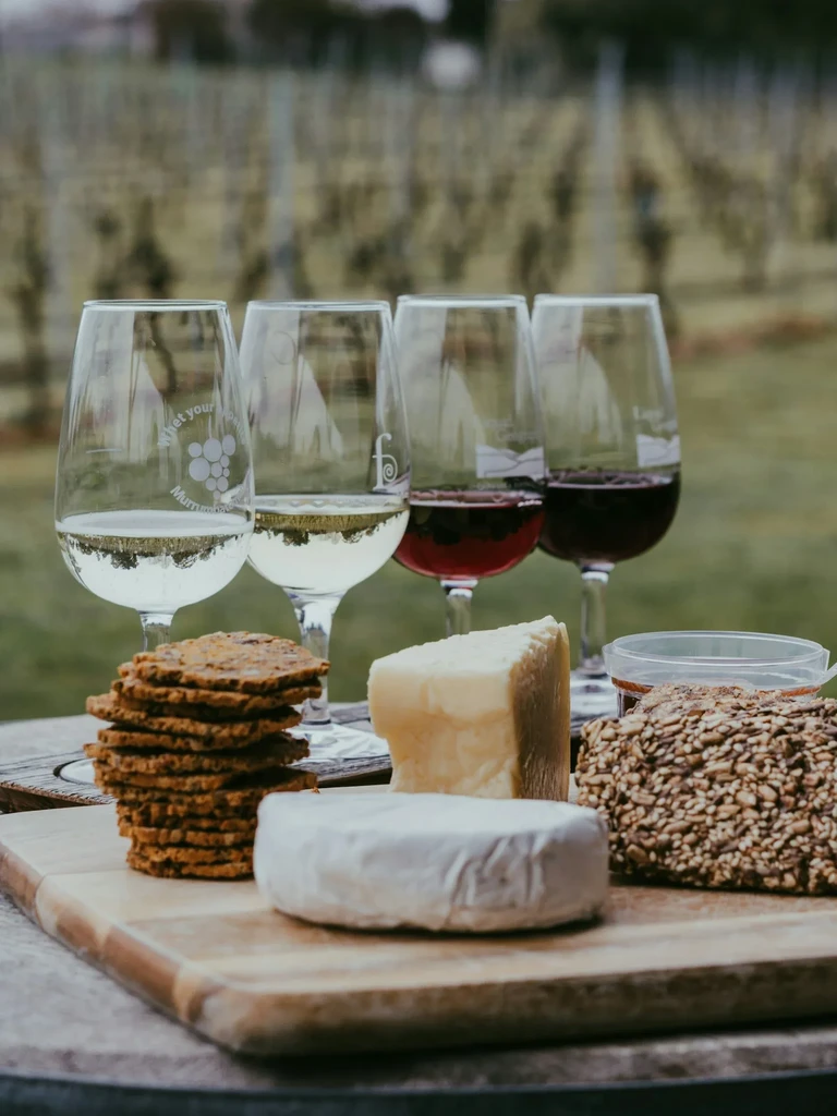Wine and cheese board with white and red wines in a vineyard.