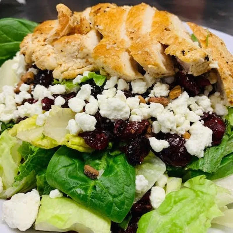 Top-down grilled chicken salad with greens, feta, cranberries, nuts.