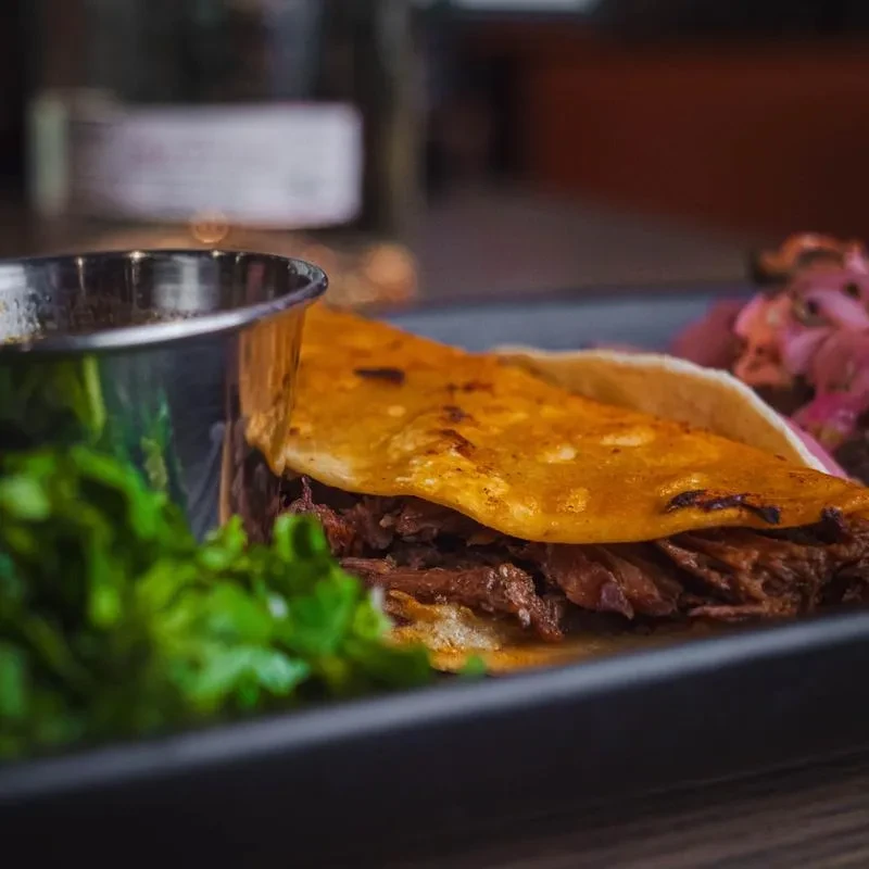 Crispy birria taco, dipping sauce, cilantro, and pickled onions on dark plate.
