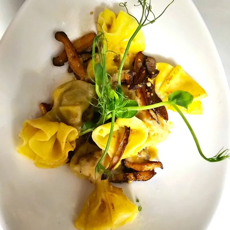 Yellow stuffed pasta with wild mushrooms, creamy sauce, and pea shoots.