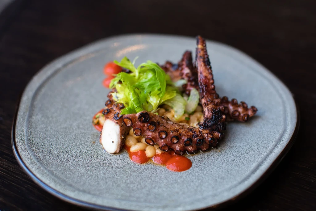 Charred grilled octopus, white beans, cherry tomatoes, red sauce.