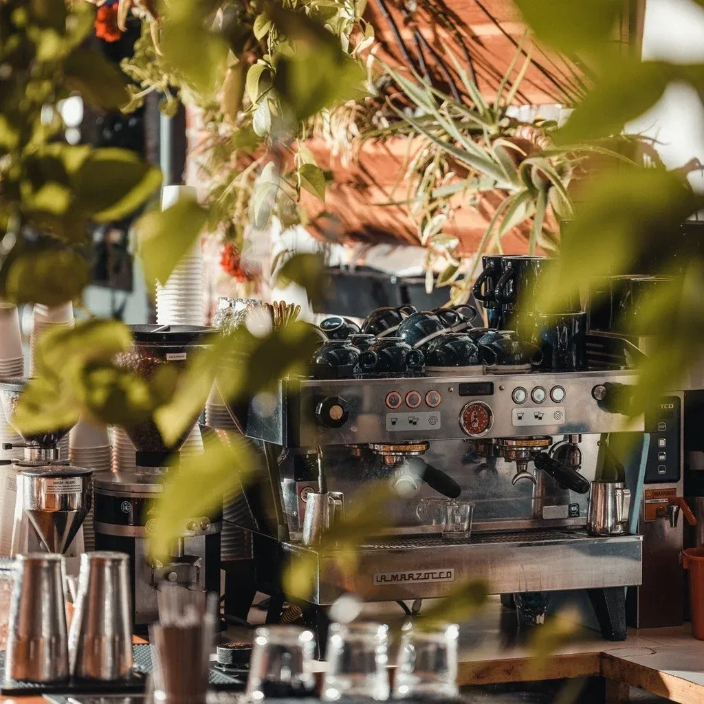 Stainless steel La Marzocco machine, grinders, cups, and cafe plants.