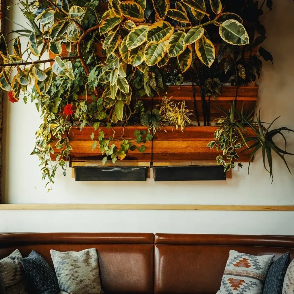 Lush vertical garden in wooden planters above a brown leather banquette.