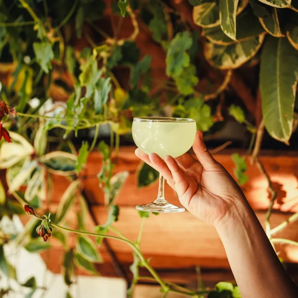 Hand holds light green cocktail in coupe glass against blurred foliage.