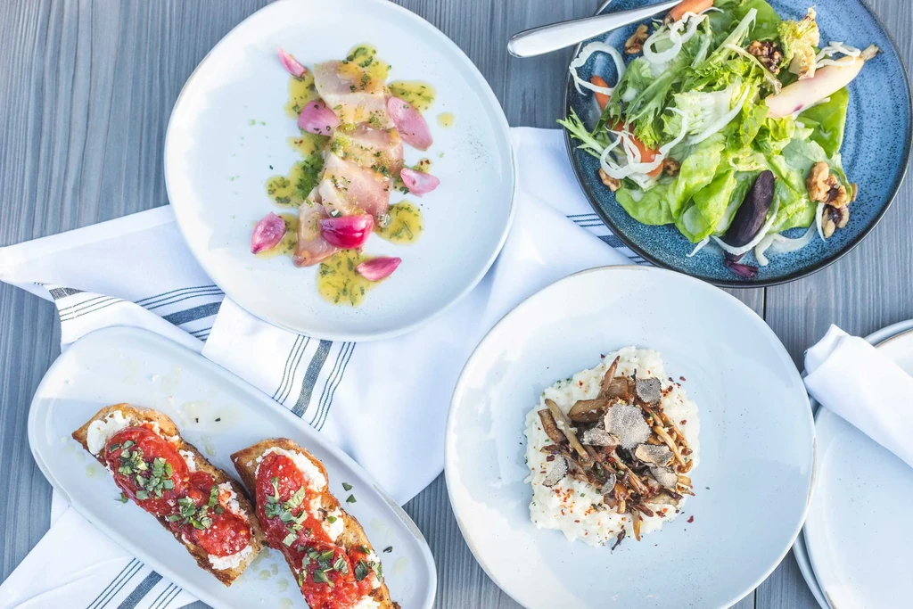 Overhead view of diverse, vibrant dishes: crudo, salad, bruschetta, risotto.