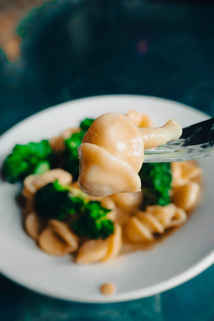 A fork lifts shell pasta with creamy sauce and broccoli.