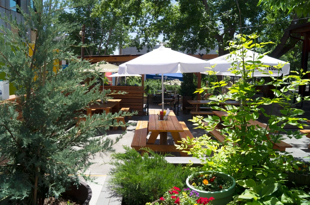 Sunny outdoor patio with rustic picnic tables, umbrellas, and plants.