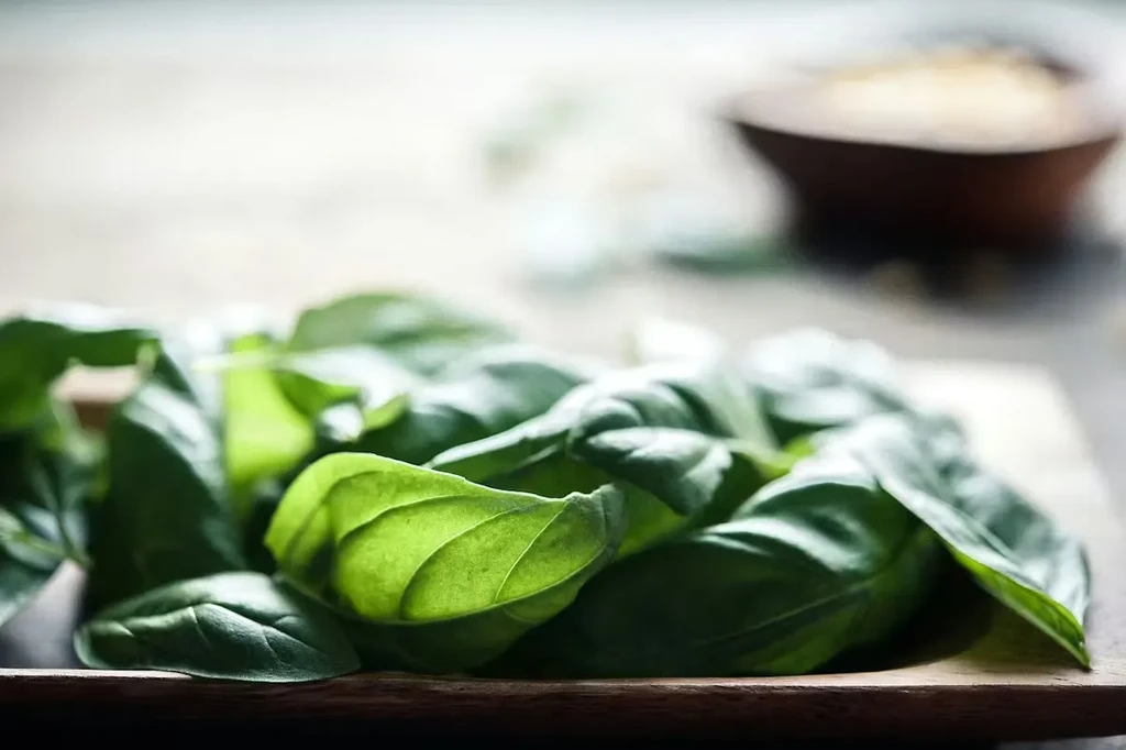 A generous pile of vibrant green basil on a wooden board.