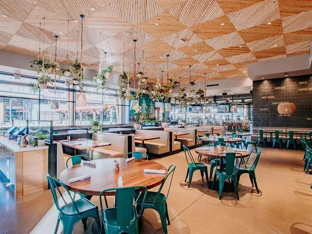 Spacious modern restaurant interior with teal chairs, slatted ceiling, and hanging plants.