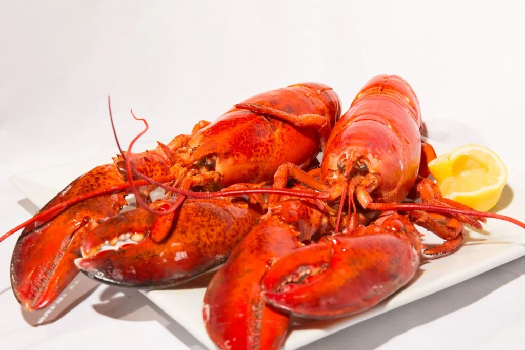 Two cooked red lobsters with a lemon wedge on a white plate.