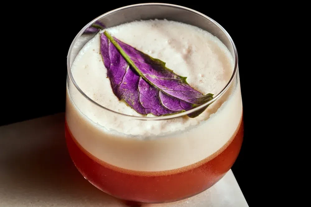 Layered cocktail with reddish-orange liquid, white foam, and purple leaf garnish.