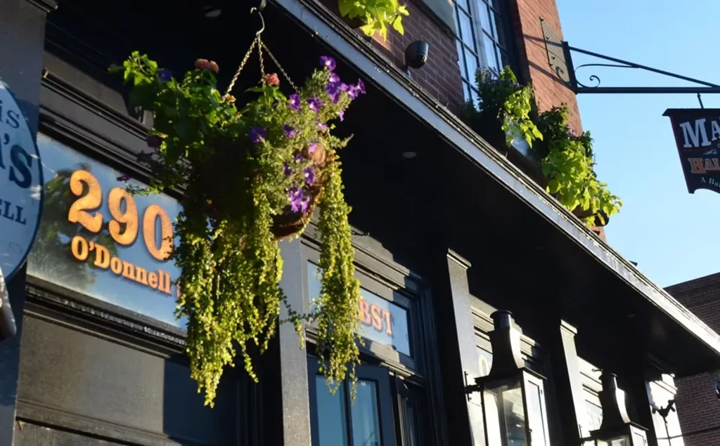 Brick building exterior with purple flowers, '290 O'Donnell', and 'A Bar' signage.