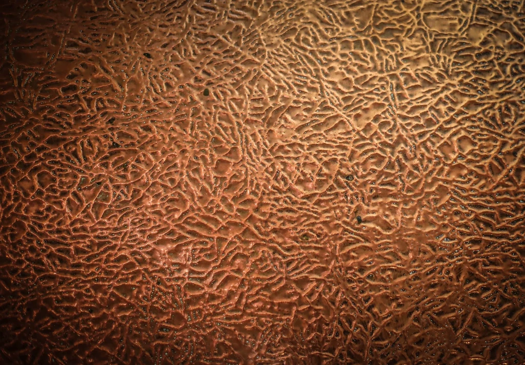 Detailed reddish-brown organic texture resembling cracked earth.