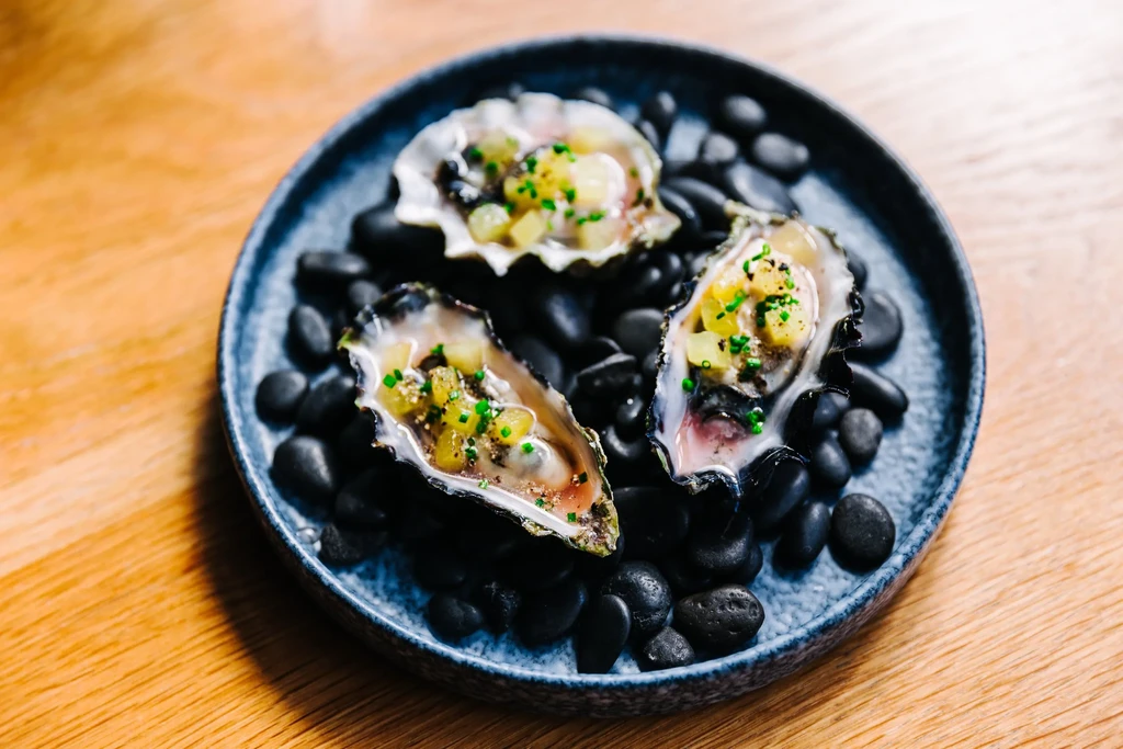 Three artfully plated oysters on half shells with garnish and dark stones.