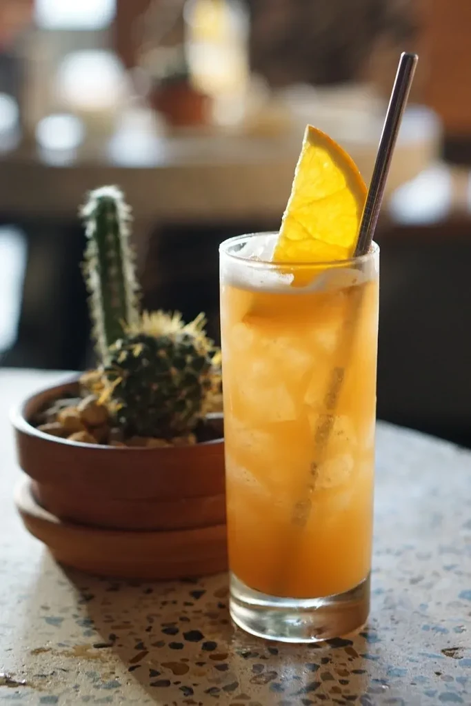 Orange drink with ice, orange slice, straw, beside a potted cactus.