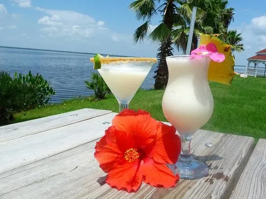 Tropical drinks, hibiscus, lake with palm trees and gazebo.