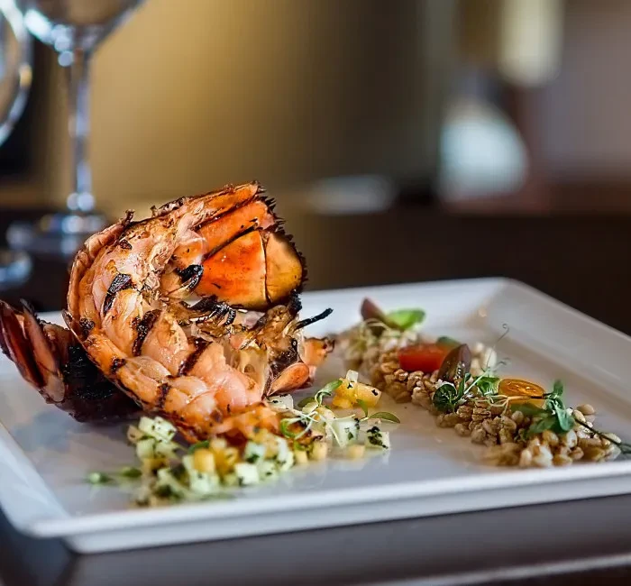 Grilled lobster tail, salsa, and grains on a rectangular white plate.